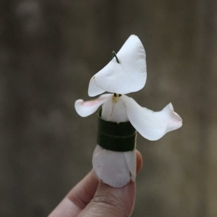 落ちたツバキの花でつくった阿波踊りを踊る人／inori（＠kusabanaasobi）さん提供