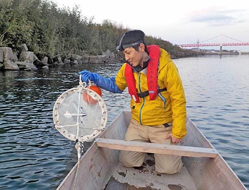 夕暮（ゆうぐ）れの益田市・高津川河口でアユの仔魚を捕獲（ほかく）する平松大介さん＝写真・平松さん提供（ていきょう）