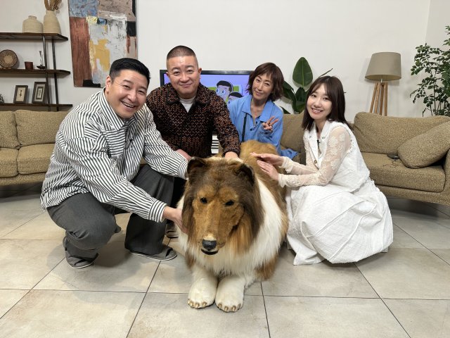 15日放送『買い主が見てみたい』より(C)メ~テレ