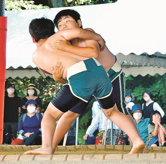 熱戦を繰り広げる子どもたち＝出雲市大社町杵築東、出雲大社神苑相撲場