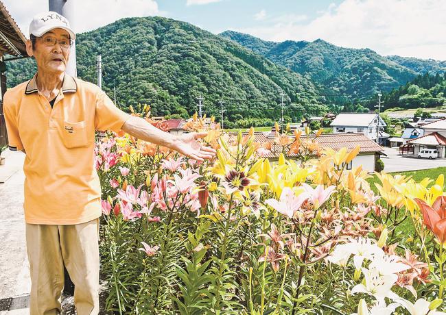 庭で見頃を迎えたユリを紹介する田中治夫さん＝島根県邑南町市木
