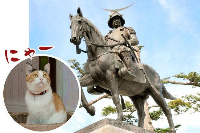 伊達政宗像と猫