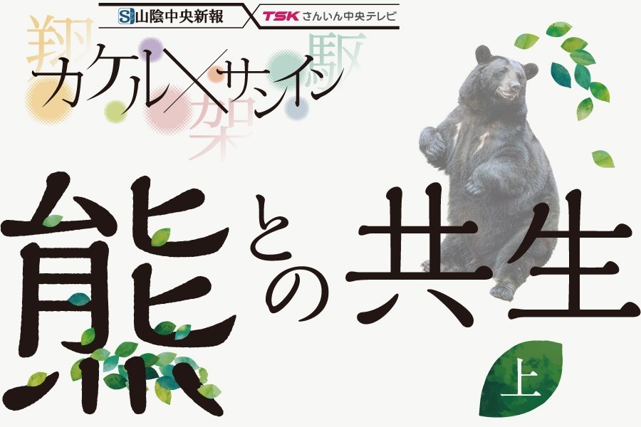 熊との共生（上）出没地域の実態、被害者の証言 ＜カケルxサンイン