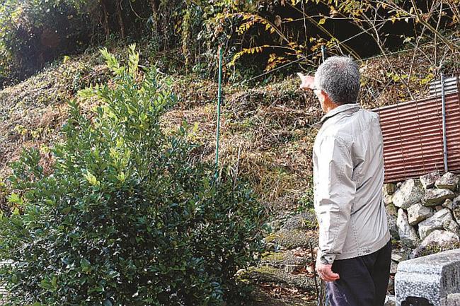 クマと出くわした自宅近くの山を指さす男性。やぶの中からクマが飛び出してきたという＝島根県邑南町宇都井