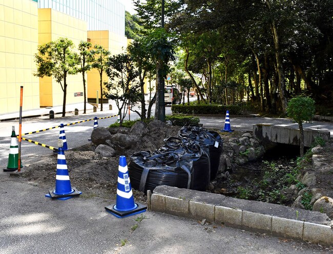 倒れたモミの木があった植樹帯=4日午後3時23分、鳥取市上町