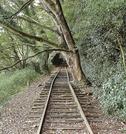 旧泰久寺駅近くから森の中へ向かう線路