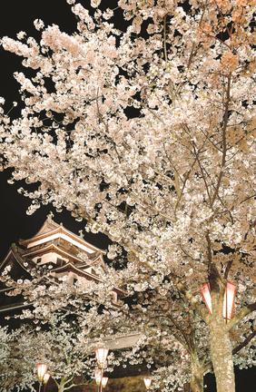 松江城（松江市殿町）