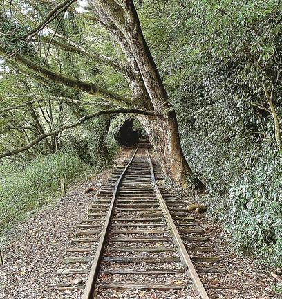 旧泰久寺駅近くから森の中へ向かう線路