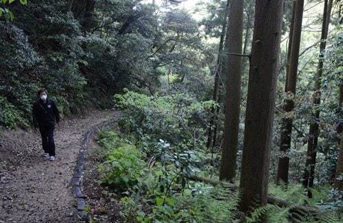自然の音を感じられる遊歩道＝松江市美保関町美保関