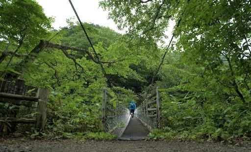 ジャパントレイルのルートに選ばれた大山山麓の中国自然歩道＝鳥取県琴浦町