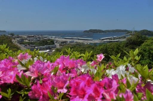 浜田漁港と日本海（４月撮影）
