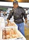 水揚げしたケンサキイカを確認するイカ釣り漁師＝浜田市原井町、浜田漁港