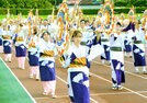 傘踊りを披露する踊り子たち＝鳥取市布勢、ヤマタスポーツパーク陸上競技場