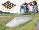 コウノトリを模した餅菓子（左上）、観察に取り組む西小の児童たち（右上）、コウノトリが飛来する雲南市大東町下佐世の水田（下）のコラージュ