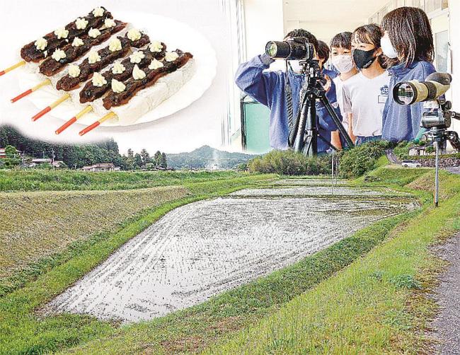 コウノトリを模した餅菓子（左上）、観察に取り組む西小の児童たち（右上）、コウノトリが飛来する雲南市大東町下佐世の水田（下）のコラージュ