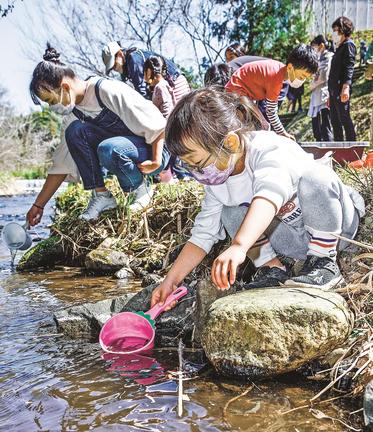 稚アユを放流する子どもたち＝島根県美郷町久保、早水川