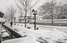 雪が積もった殿町通り＝島根県津和野町後田