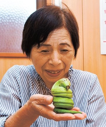 大蛇のように見えるオクラ＝浜田市内村町、美川まちづくりセンター