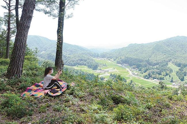 木々が伐採され、見晴らしが良くなった瀬戸山城跡の南西郭群周辺＝島根県飯南町下赤名