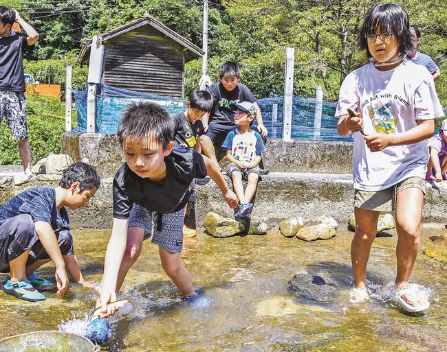 アユのつかみ取りに挑戦する子ども＝江津市桜江町谷住郷、アユ育成場