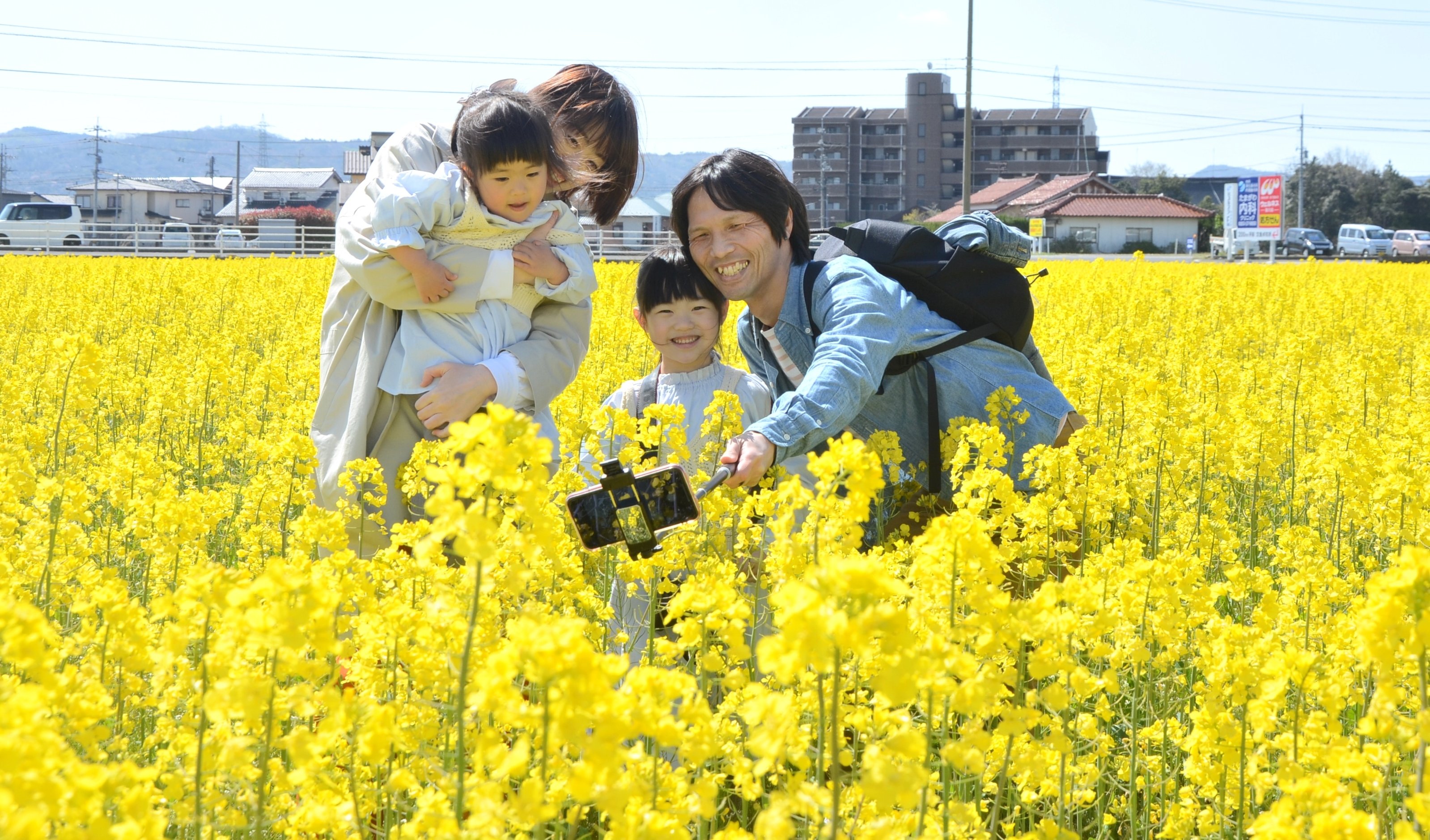 朝刊先読み 一面に広がる花と笑顔 出雲で菜の花まつり 山陰中央新報デジタル
