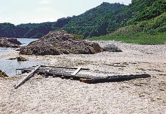漂着した木片＝鳥取県岩美町、城原海岸（鳥取海上保安署提供）