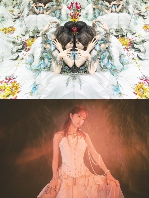 Aimer LiSA ■唄の降る夜コンサート■ Ａ３クリアファイル ★新品★ Amazon.co.jp: Aimer LiSA □唄の降る夜コンサート□ A3クリア