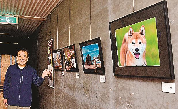 愛らしい姿が並ぶギャラリー＝雲南市木次町寺領、ワイナリー奥出雲葡萄園