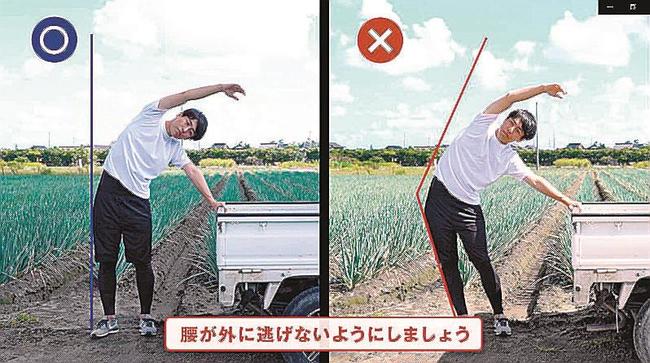 腰痛対策に役立つストレッチを紹介した動画の一場面