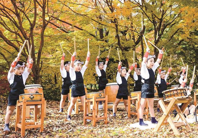 紅葉の下で太鼓を元気よく演奏する園児たち＝島根県奥出雲町上阿井、可部屋集成館前