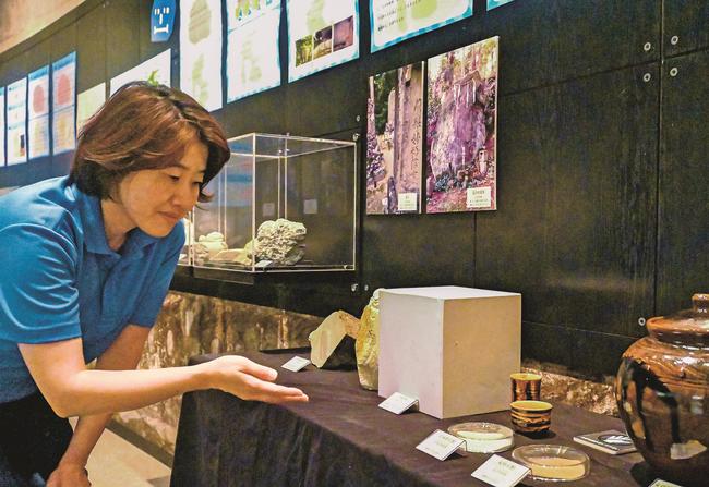 企画展で展示する石材を紹介する古川寛子学芸員＝松江市宍道町東来待、モニュメント・ミュージアム来待ストーン