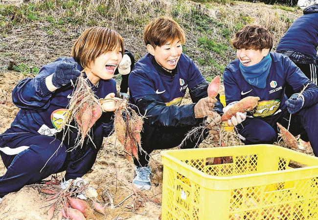 掘り出した芋を見せ合うディオッサ出雲ＦＣの選手たち＝出雲市湖陵町差海