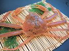 
          
日本海トップ賞「訳あり松葉ガニ」
        