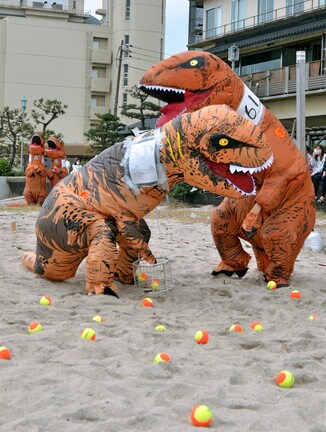 恐竜の着ぐるみ姿でボール拾いに挑戦する参加者=米子市皆生温泉3丁目、皆生温泉海遊ビーチ