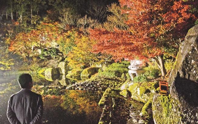 ライトアップされ、池の水面にも鮮やかな姿を映した紅葉＝雲南市木次町平田、石照庭園