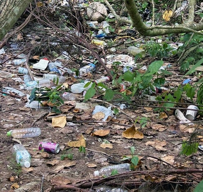 不法投棄されたプラスチックごみ＝２０２３年７月、沖縄県・石垣島