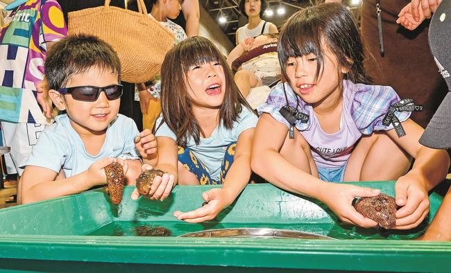 水槽に入ったナマコを触る子どもたち＝松江市学園南１丁目、くにびきメッセ