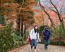 紅葉を楽しみながら境内を散策する参拝者＝出雲市別所町、鰐淵寺