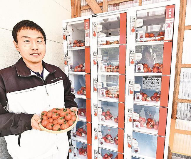 江津コンクリート工業が導入したトマトの自動販売機＝江津市都野津町、同社