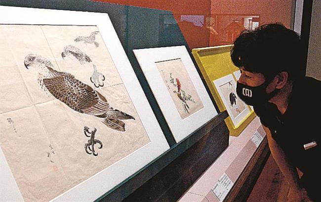 展示されている三浦紫■（田ヘンに腕のツクリ)の作品の数々＝出雲市大社町杵築東、島根県立古代出雲歴史博物館