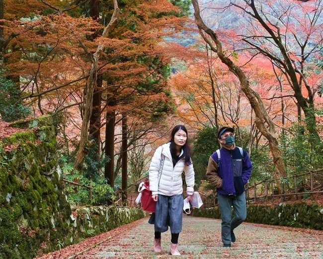 紅葉を楽しみながら境内を散策する参拝者＝出雲市別所町、鰐淵寺