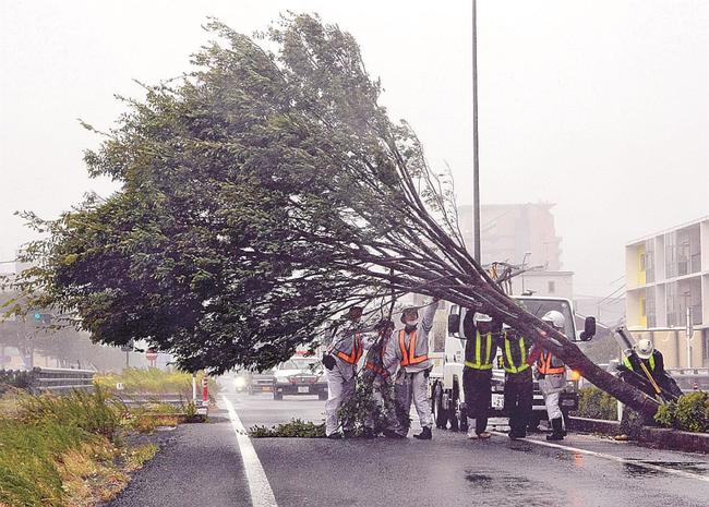 国道９号に倒れた街路樹を支える警察官ら＝９日午前９時２６分、出雲市中野美保北１丁目