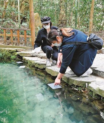 八重垣神社の鏡の池で「縁結び占い」をする観光客＝松江市佐草町