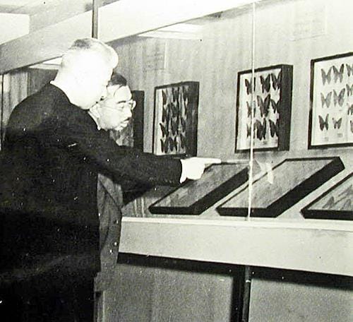 日本昆虫学会創立４０周年記念「世界の昆虫展」で、昭和天皇に標本のチョウの説明をする中原和郎＝１９５７年１０月、東京・日本橋