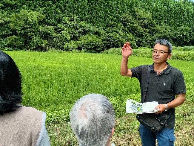 有機栽培の水田を案内する「弥守の会」の清水康彦代表（右）＝７日、浜田市弥栄町