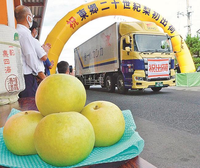 二十世紀梨を満載して京阪神に向け、出発するトラック＝鳥取県湯梨浜町中興寺、ＪＡ鳥取中央東郷梨選果場