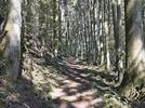 西田から大森へ向かう最後の登山道