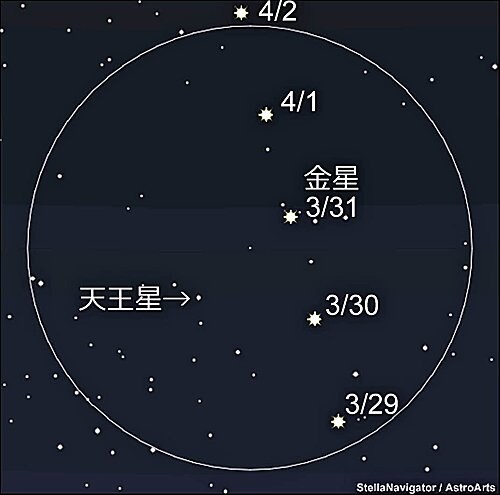 天王星に対する金星の位置の変化、円は双眼鏡で見える範囲（はんい）のイメージ（機種により異なる）＝アストロアーツ／ステラナビゲータの星図（せいず）を元に作成