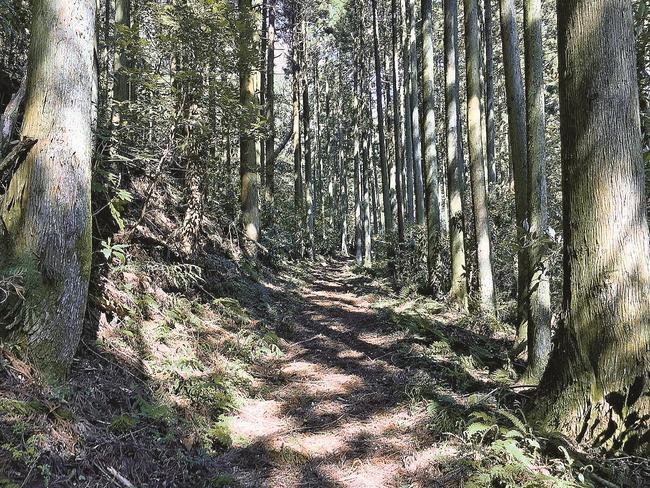 西田から大森へ向かう最後の登山道