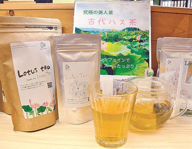 商品化した古代ハス茶